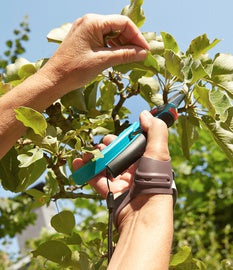 Push ortho Daumenorthese CMC